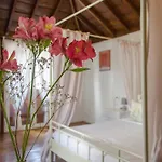 Rural Casona Santo Domingo *