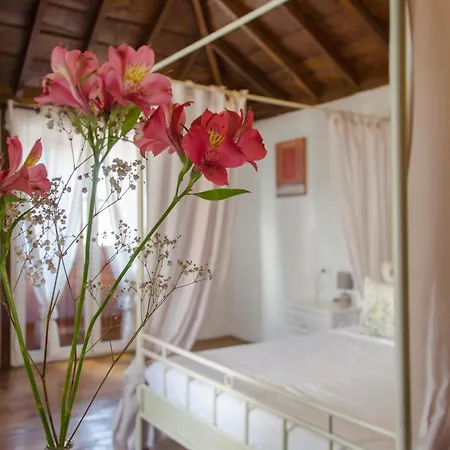 Rural Casona Santo Domingo *