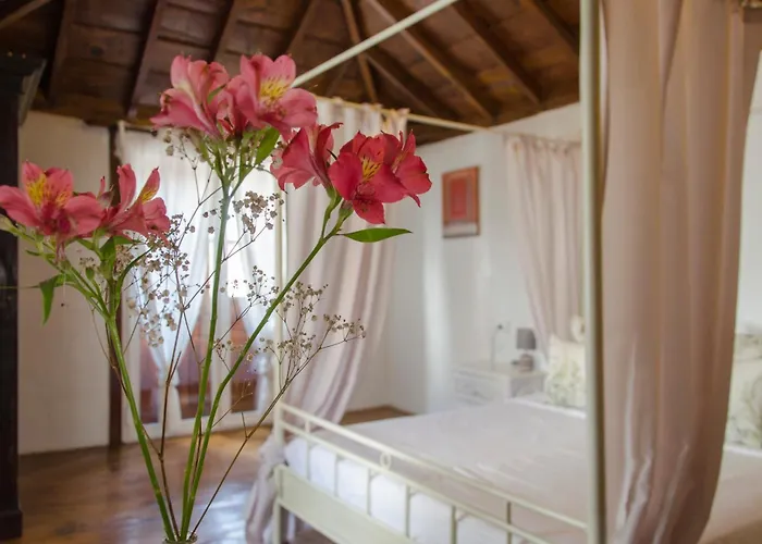 Rural Casona Santo Domingo *