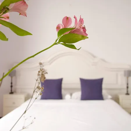 Rural Casona Santo Domingo Hotel